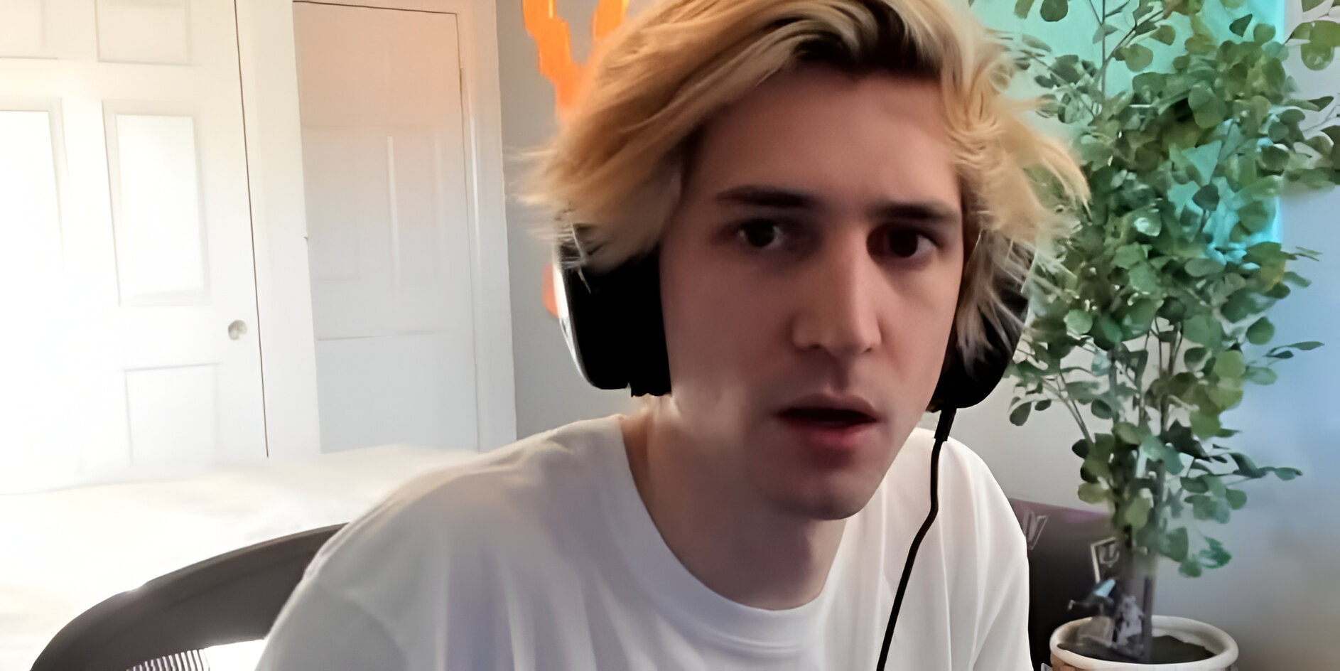 Một server nổi tiếng trong Dayz đã ban Streamer xQc
