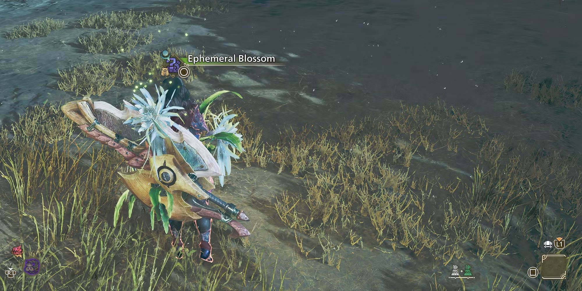 Cách thức tối ưu việc "farm" đồ trang trí trong Monster Hunter Wilds - Gamelade
