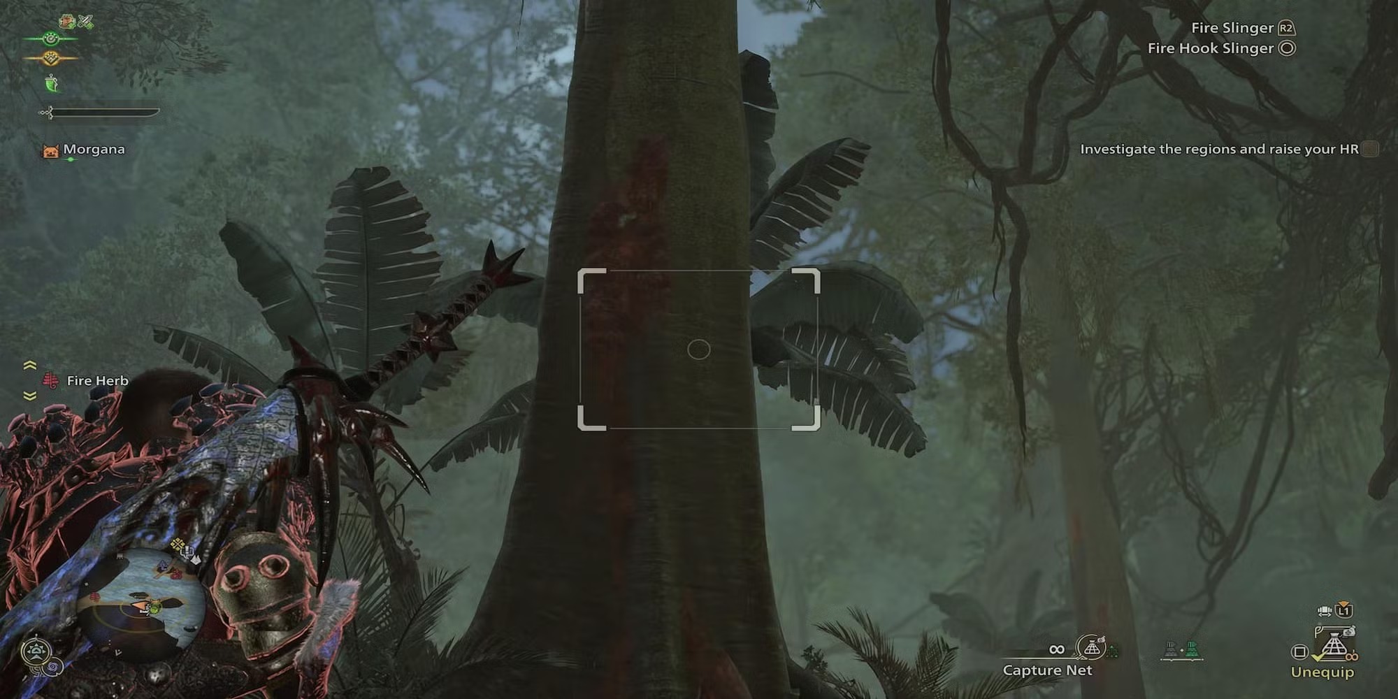 Cách bắt Bọ Hercules Vàng trong Monster Hunter Wilds - Gamelade